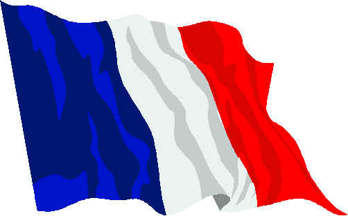French-flag.jpg